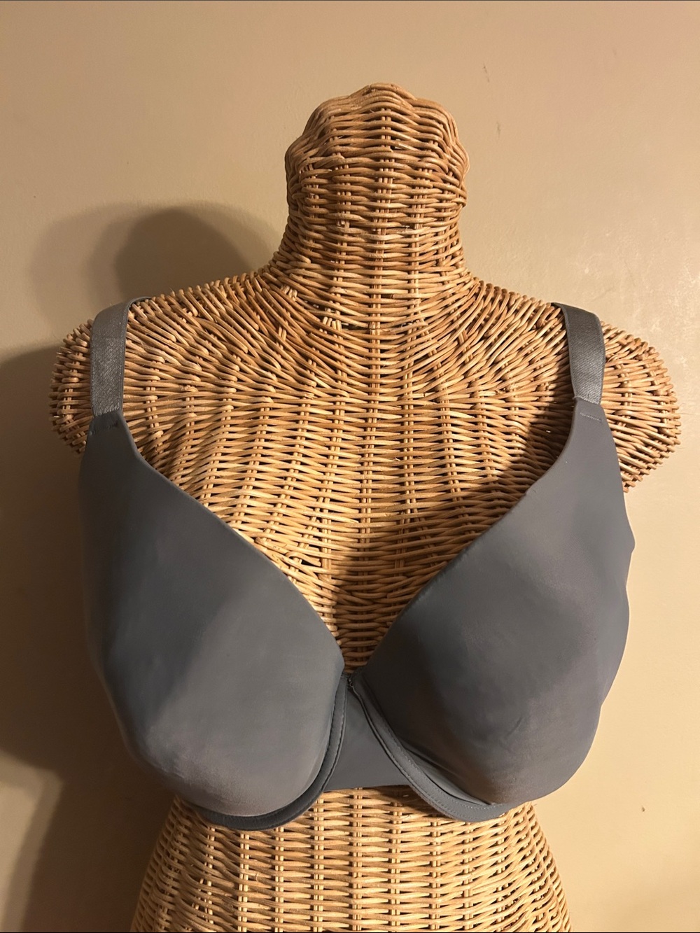 Smooth T-Shirt Bra in Slate Gray - Women Intimates 42D
